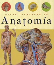 Atlas ilustrado de anatomía