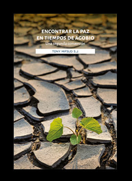Encontrar La Paz En Tiempos De Agobio