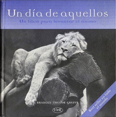 Un Dia De Aquellos