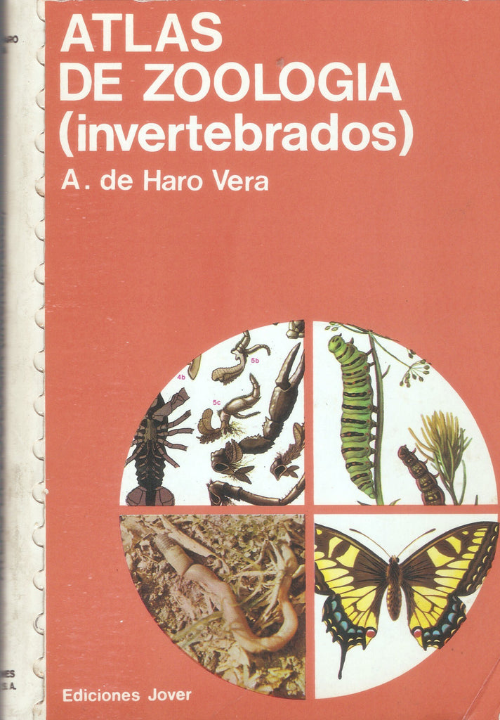 Atlas De Zoologia: Invertebrados/Atlas of Zoology : Invertebrates (Spanish Edition)