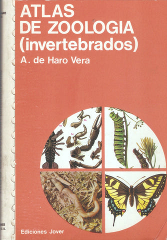 Atlas De Zoologia: Invertebrados/Atlas of Zoology : Invertebrates (Spanish Edition)