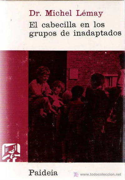 El cabecilla en los grupos de inadaptados