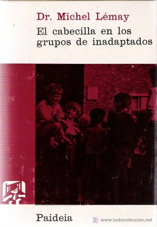 El cabecilla en los grupos de inadaptados