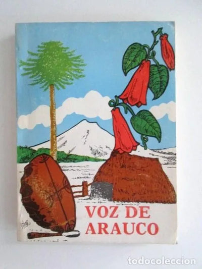 VOZ DE ARAUCO, EXPLICACIÓN DE LOS NOMBRES INDÍGENAS DE CHILE