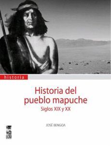 Historia del pueblo mapuche Siglos XIX y XX