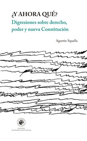 ¿Y ahora qué? digresiones sobre derecho, poder y nueva Constitución