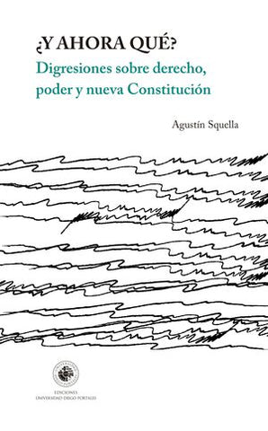 ¿Y ahora qué? digresiones sobre derecho, poder y nueva Constitución