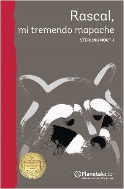 Rascal, mi tremendo mapache