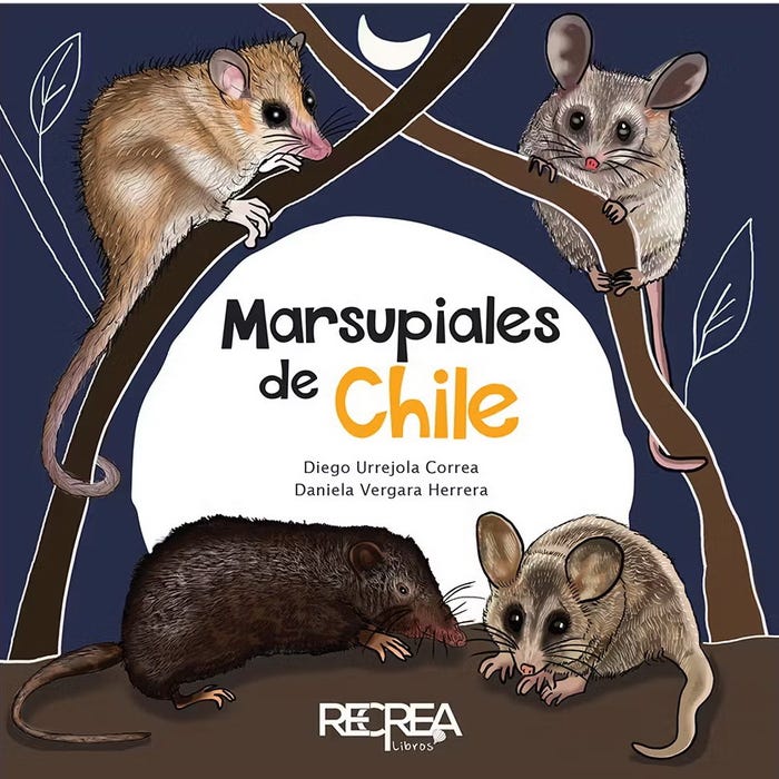 Marsupiales De Chile -