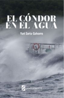EL CONDOR EN EL AGUA