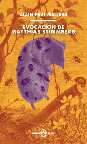EVOCACION DE MATTHIAS STIMMBERG