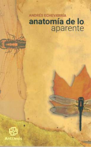 Anatomía de la aparente
