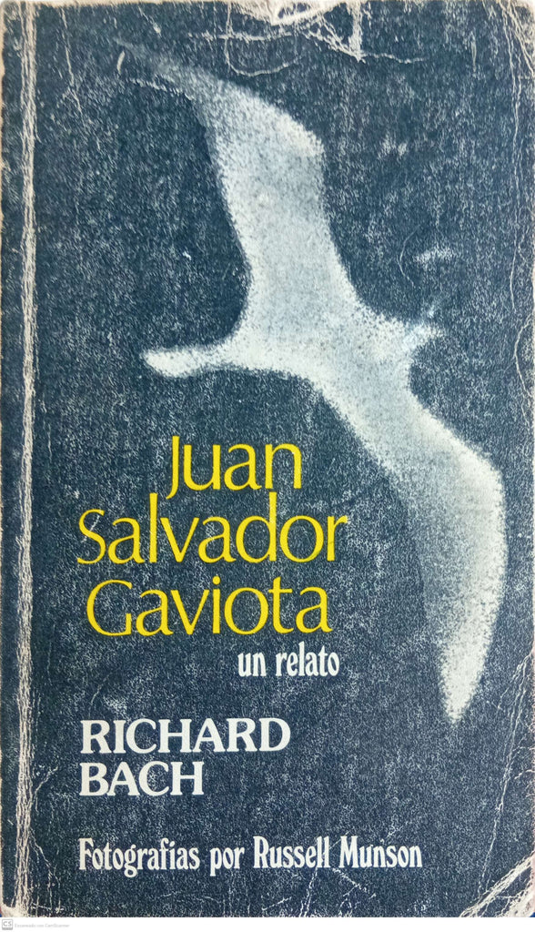 Juan Salvador Gaviota: Un Relato