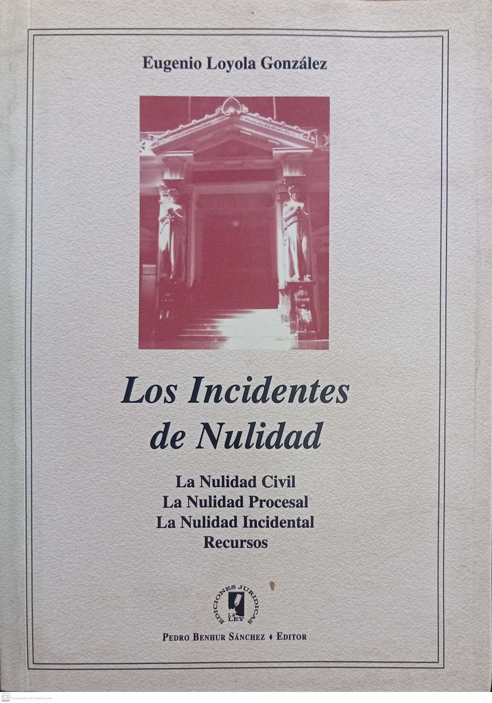 LOS INCIDENTES DE NULIDAD