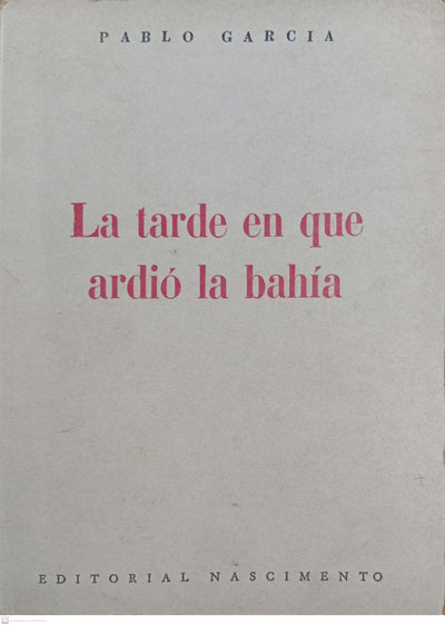LA TARDE EN QUE ARDIO LA BAHIA