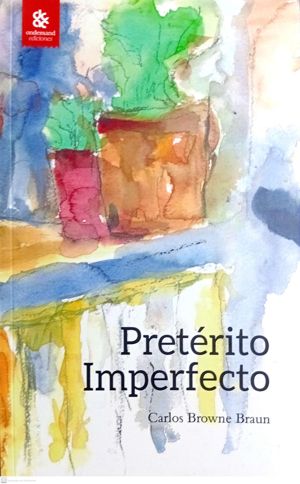 PRETERITO IMPERFECTO