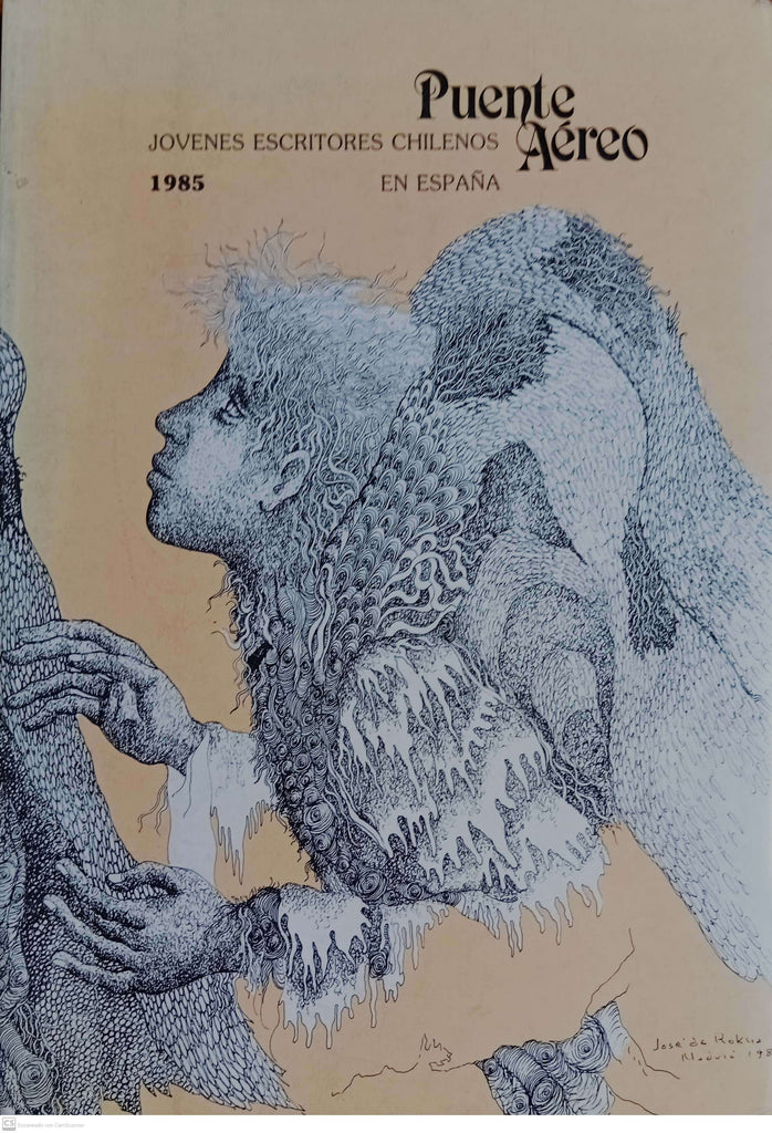 Puente aéreo. Jóvenes escritores chilenos en España