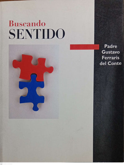 BUSCANDO SENTIDO