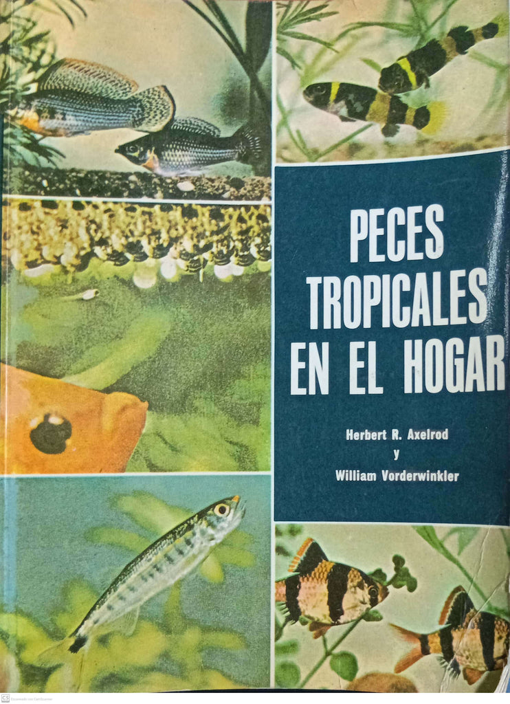 Peces Tropicales En El Hogar