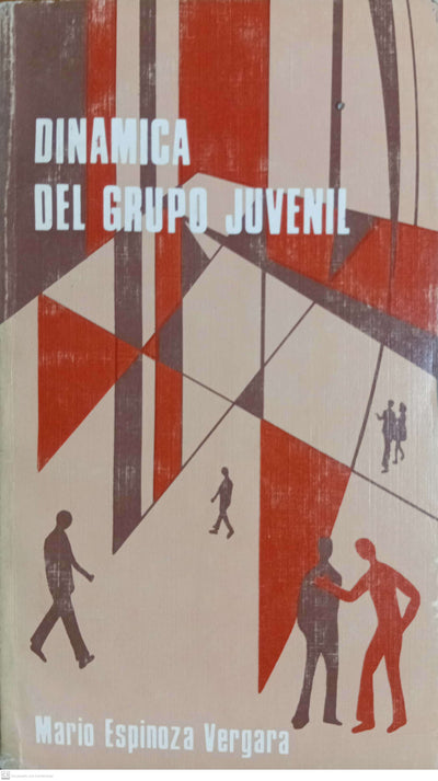 DINAMICA DE GRUPO JUVENIL