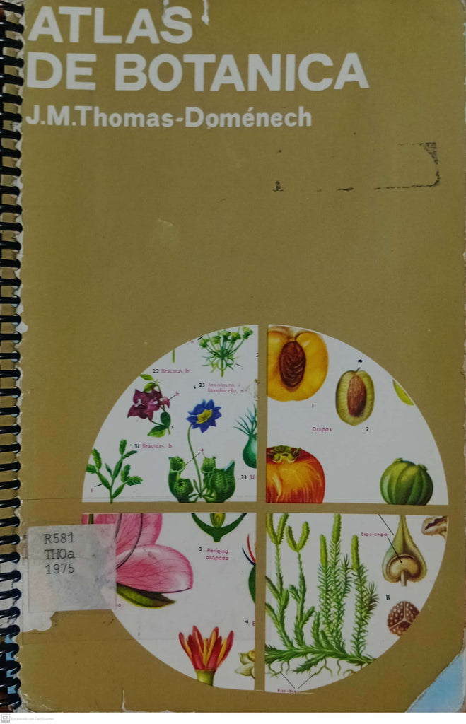 Atlas De Botanica