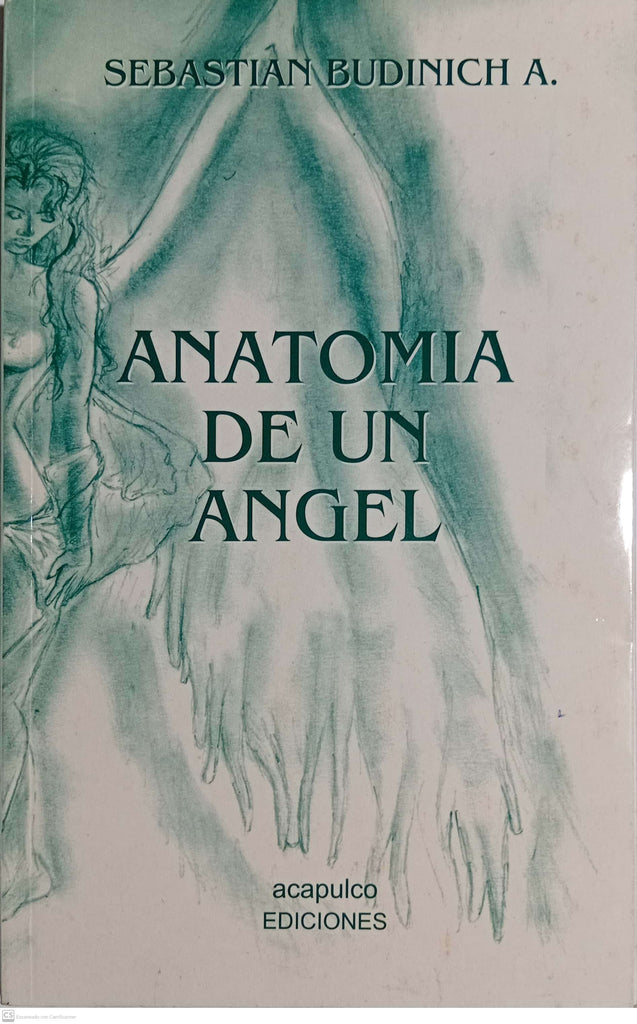 Anatomia de un Angel