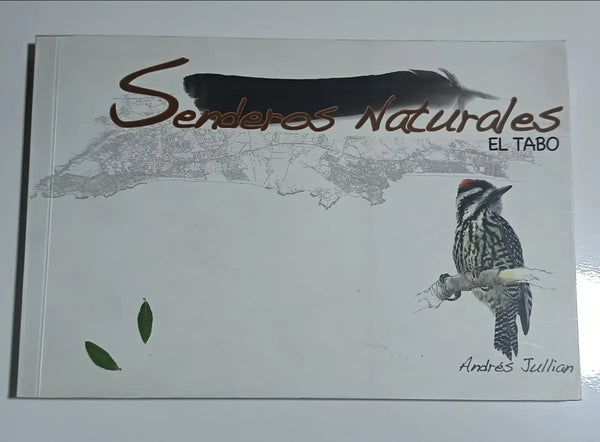 Senderos naturales El Tabo