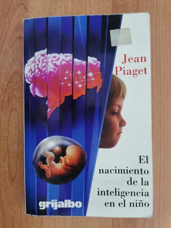 El Nacimiento De La Inteligencia En El Niño