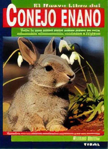 El nuevo libro del conejo enano