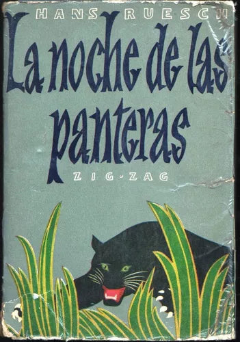 La Noche De Las Panteras