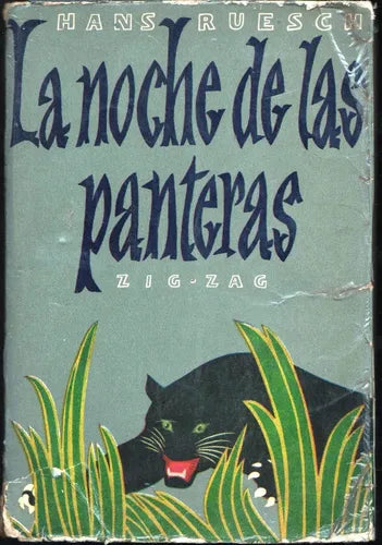 La Noche De Las Panteras