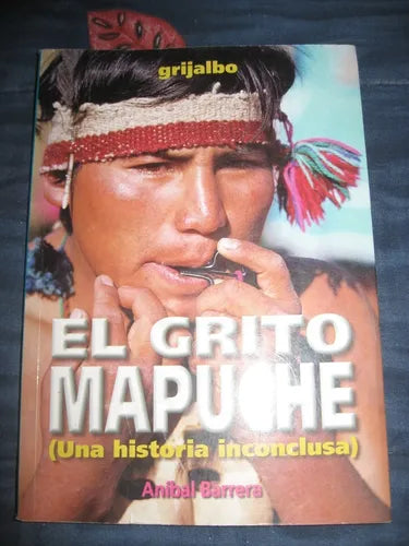 El grito mapuche: Una historia inconclusa