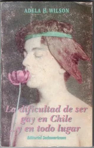 La Dificultad De Ser Gay En Chile