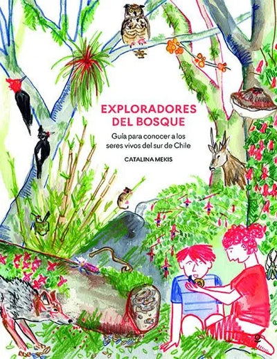 Exploradores del bosque