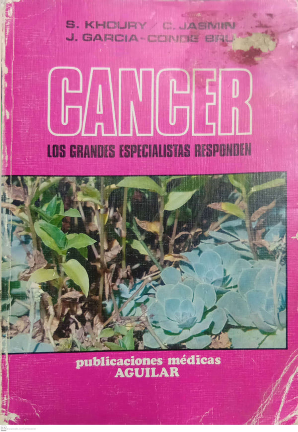 Cáncer: los grandes especialistas responden