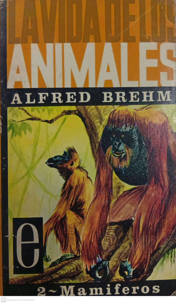 La vida de los animales – 2: Mamíferos