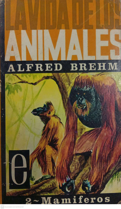 La vida de los animales – 2: Mamíferos