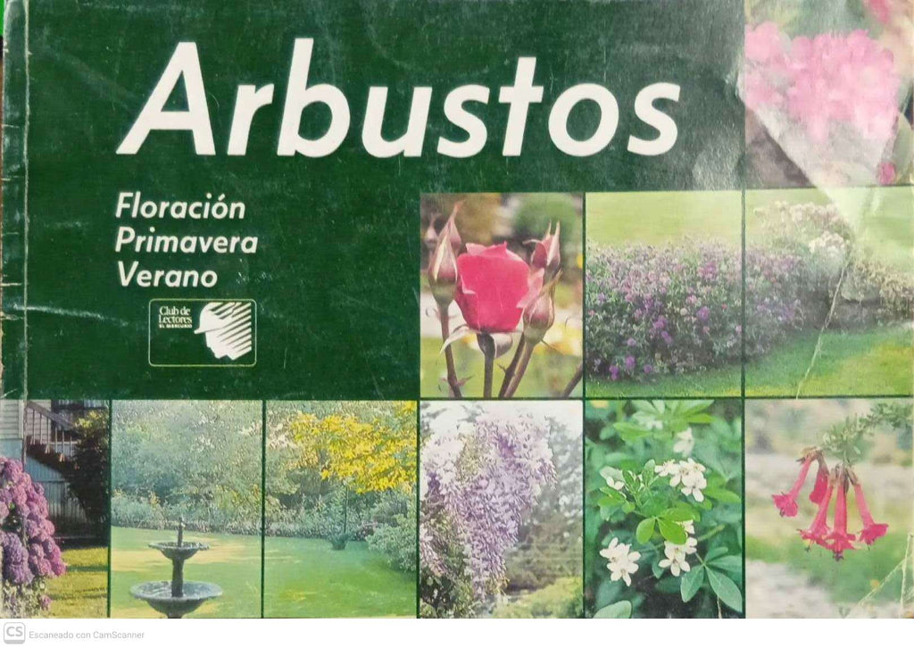 Arbustos — Floración Primavera Verano