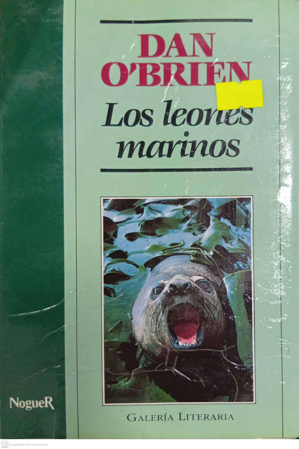 Los leones marinos