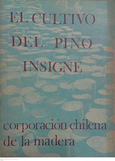 El cultivo del pino insigne