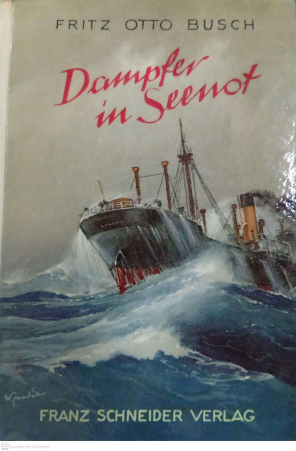 Dampfer in Seenot