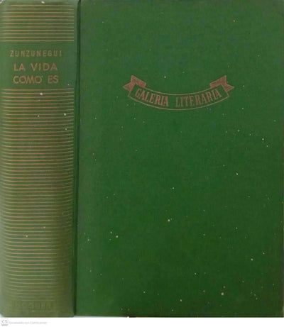 La vida como es: Novela picaresca en muy paladina lengua española escrita en Madrid