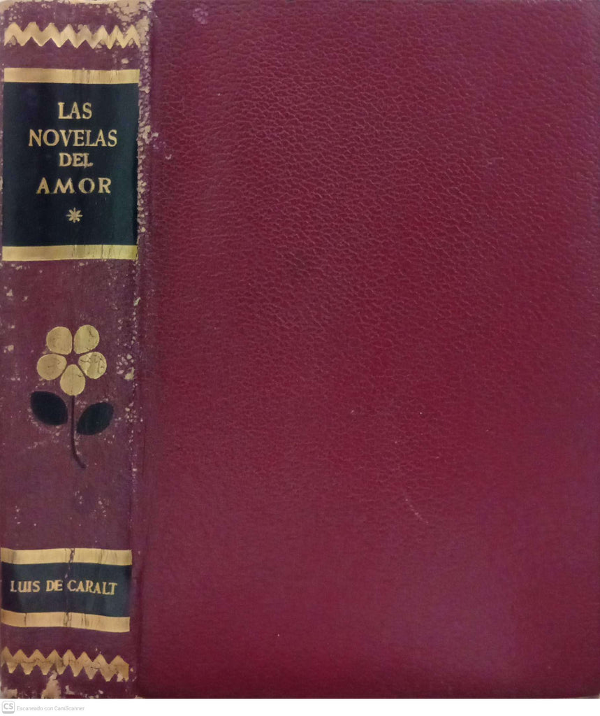 Las novelas del amor