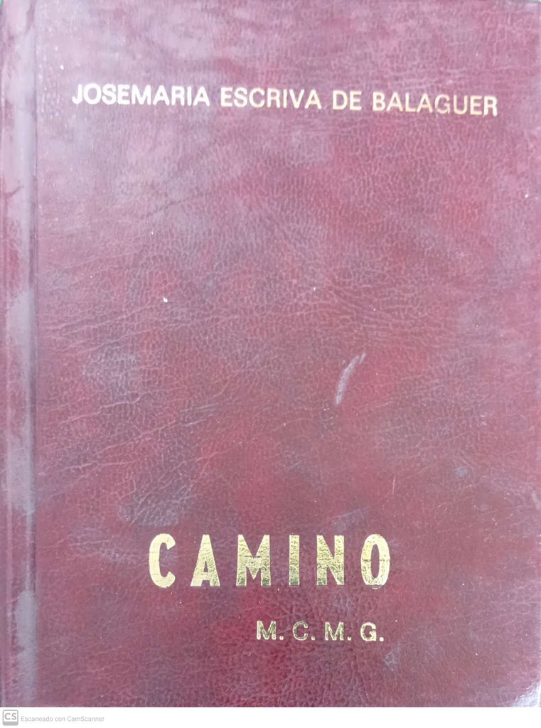 Camino