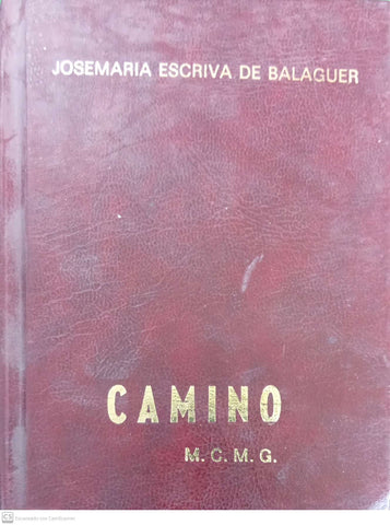 Camino