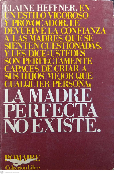 La Madre Perfecta No Existe