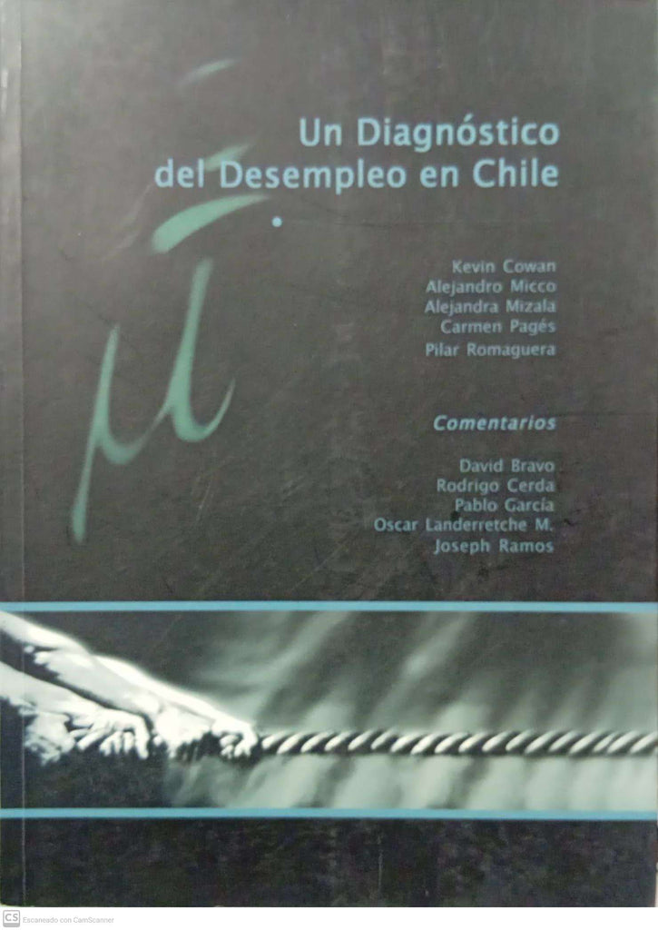Un diagnóstico del desempleo en Chile