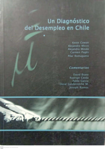 Un diagnóstico del desempleo en Chile