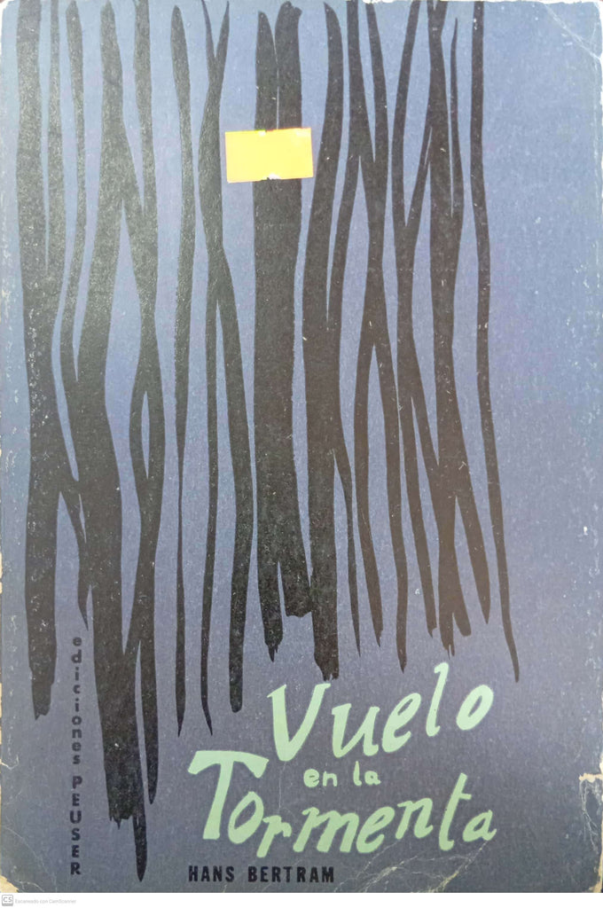 Vuelo en la tormenta