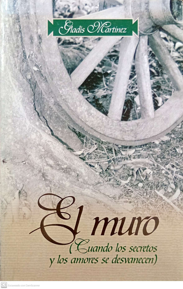 El muro (Cuando los secretos y los amores se desvanecen)